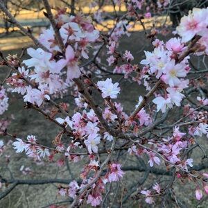 Meet your Posher, Gabriella